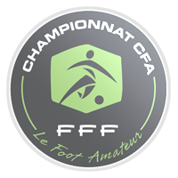 Fourth division of French football (Championnat de France amateur)